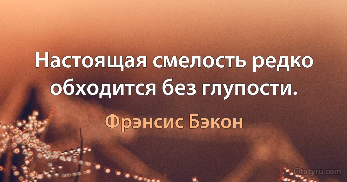 Настоящая смелость редко обходится без глупости. (Фрэнсис Бэкон)