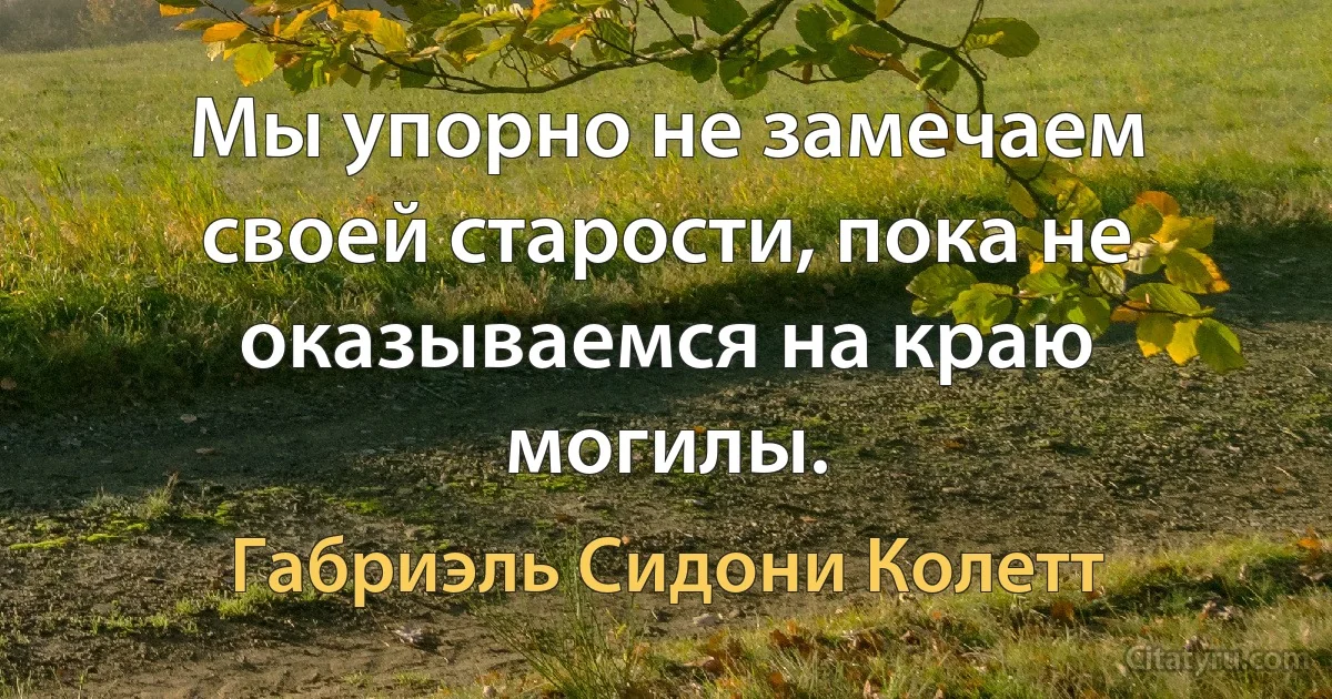 Мы упорно не замечаем своей старости, пока не оказываемся на краю могилы. (Габриэль Сидони Колетт)