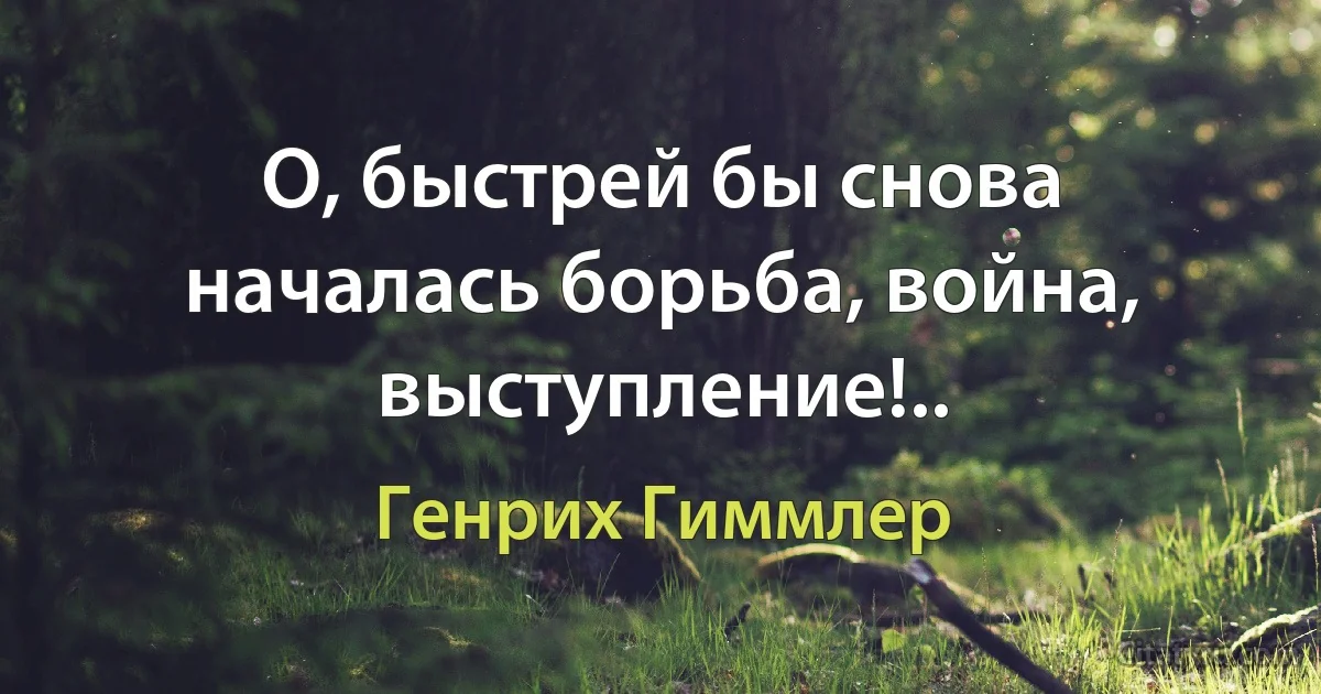 О, быстрей бы снова началась борьба, война, выступление!.. (Генрих Гиммлер)