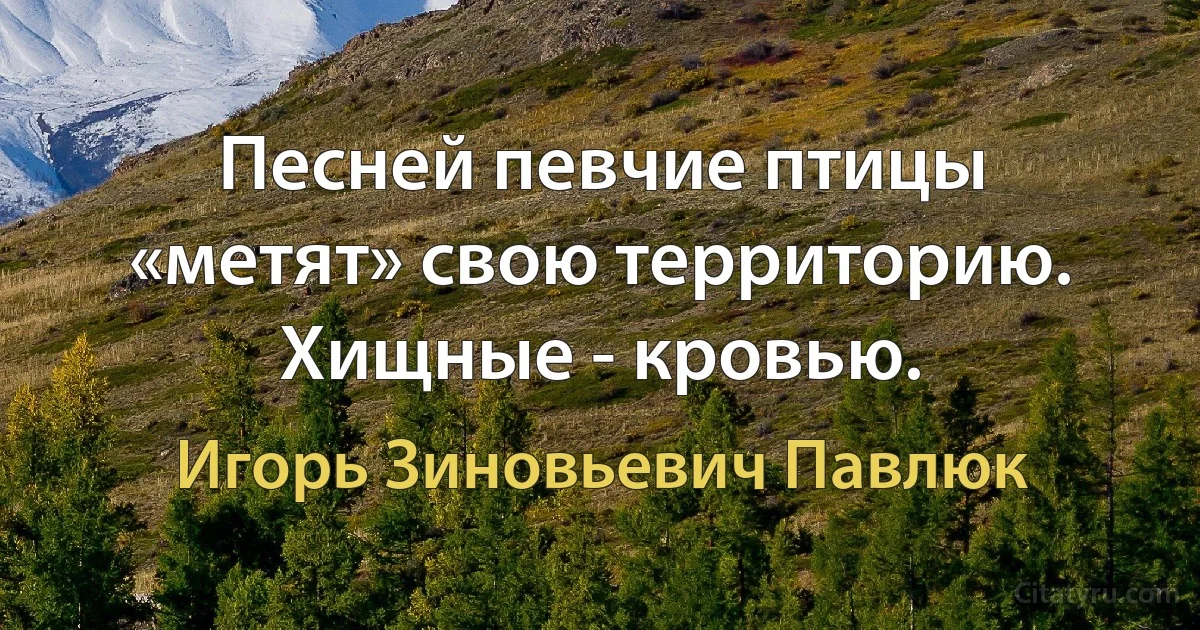 Песней певчие птицы «метят» свою территорию. Хищные - кровью. (Игорь Зиновьевич Павлюк)