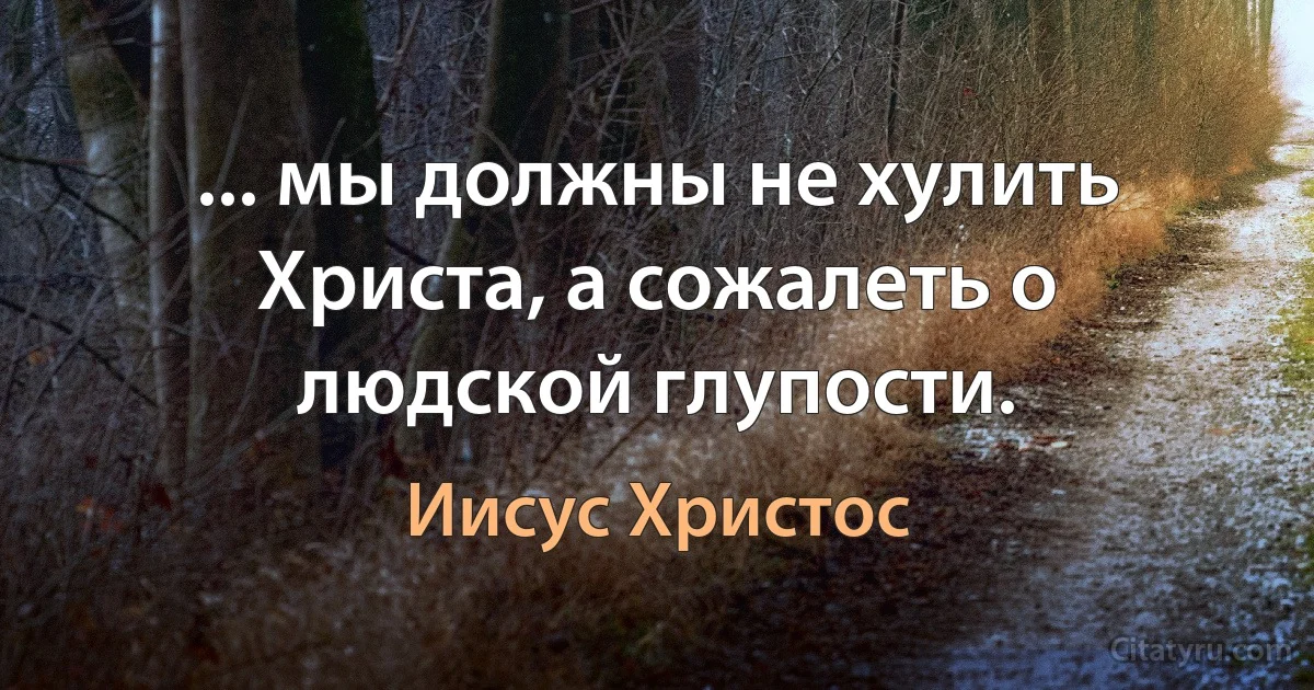 ... мы должны не хулить Христа, а сожалеть о людской глупости. (Иисус Христос)