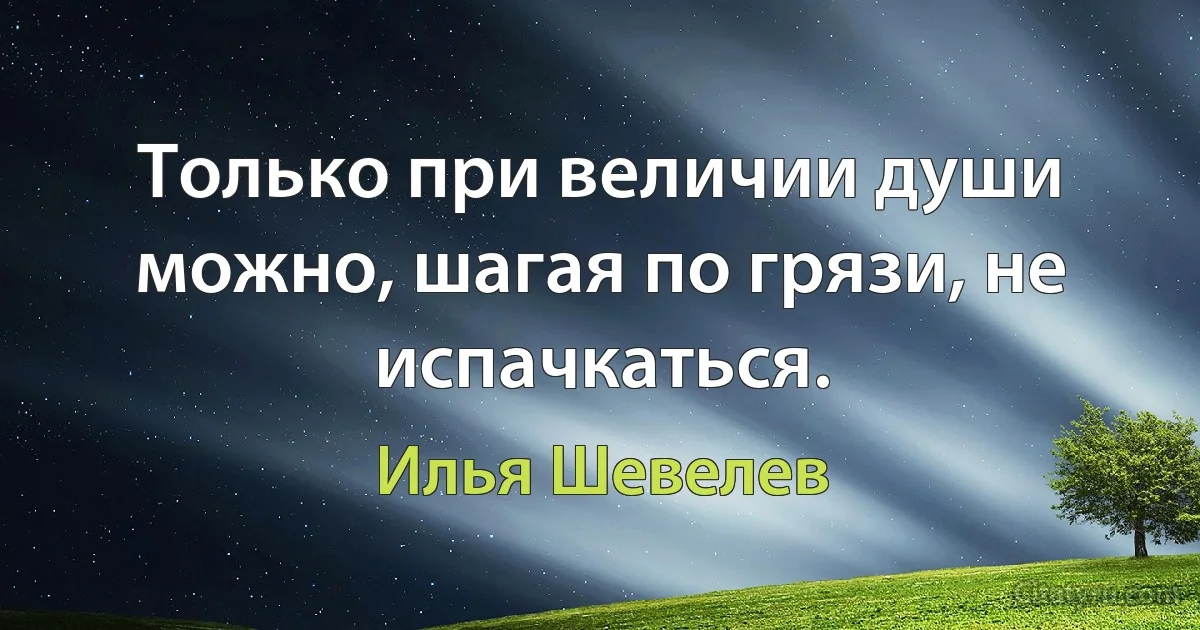 Только при величии души можно, шагая по грязи, не испачкаться. (Илья Шевелев)