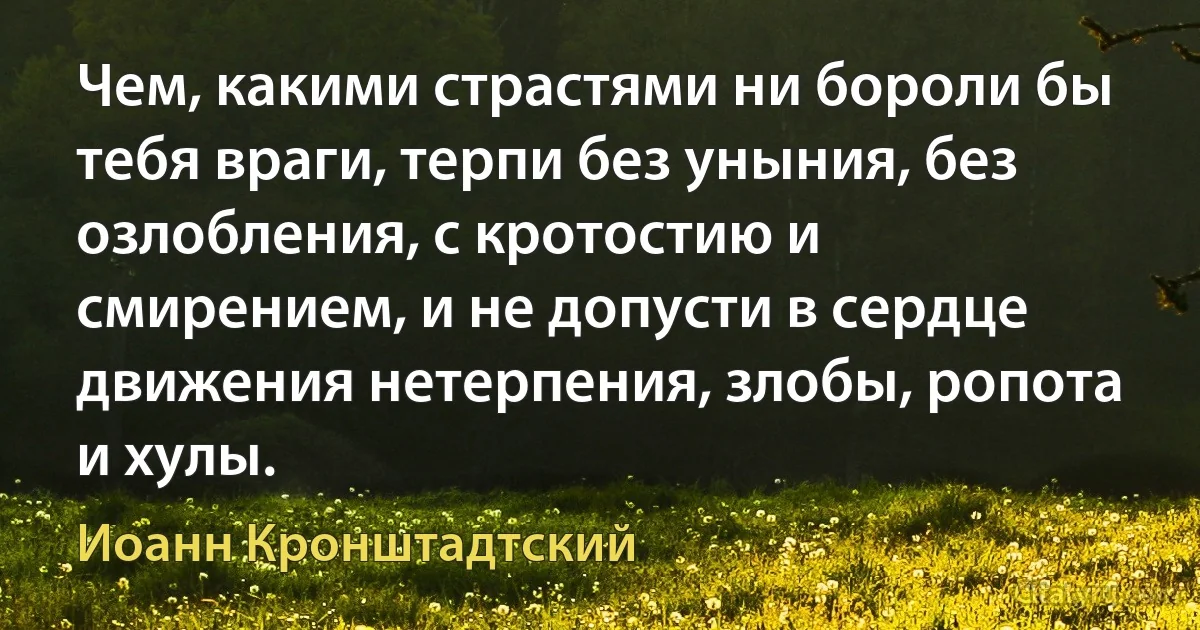 Чем, какими страстями ни бороли бы тебя враги, терпи без уныния, без озлобления, с кротостию и смирением, и не допусти в сердце движения нетерпения, злобы, ропота и хулы. (Иоанн Кронштадтский)