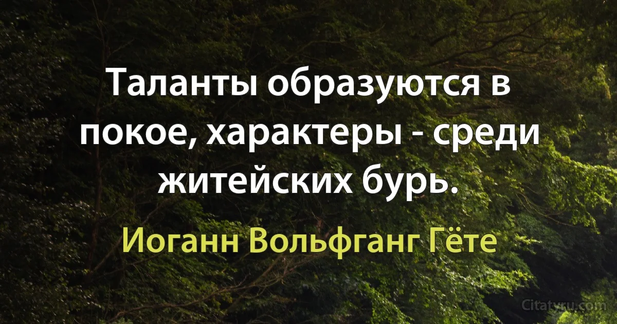 Таланты образуются в покое, характеры - среди житейских бурь. (Иоганн Вольфганг Гёте)