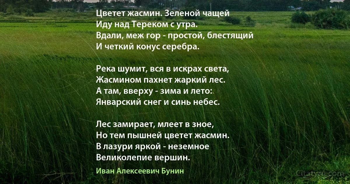 Цветет жасмин. Зеленой чащей
Иду над Тереком с утра.
Вдали, меж гор - простой, блестящий
И четкий конус серебра.

Река шумит, вся в искрах света,
Жасмином пахнет жаркий лес.
А там, вверху - зима и лето:
Январский снег и синь небес.

Лес замирает, млеет в зное,
Но тем пышней цветет жасмин.
В лазури яркой - неземное
Великолепие вершин. (Иван Алексеевич Бунин)