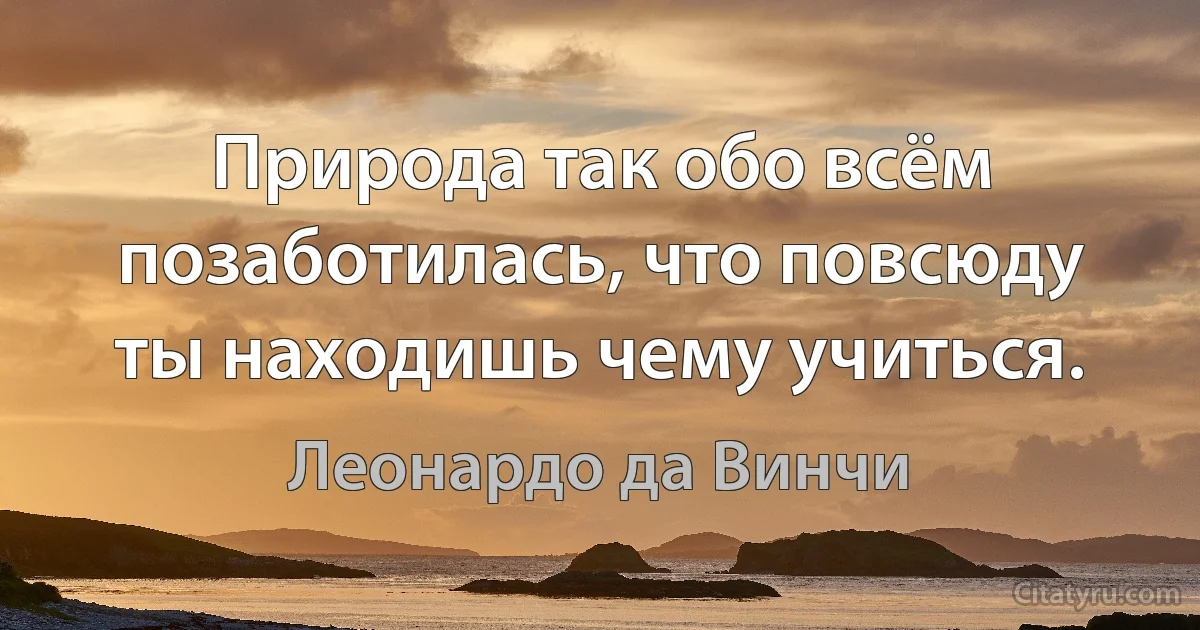 Природа так обо всём позаботилась, что повсюду ты находишь чему учиться. (Леонардо да Винчи)