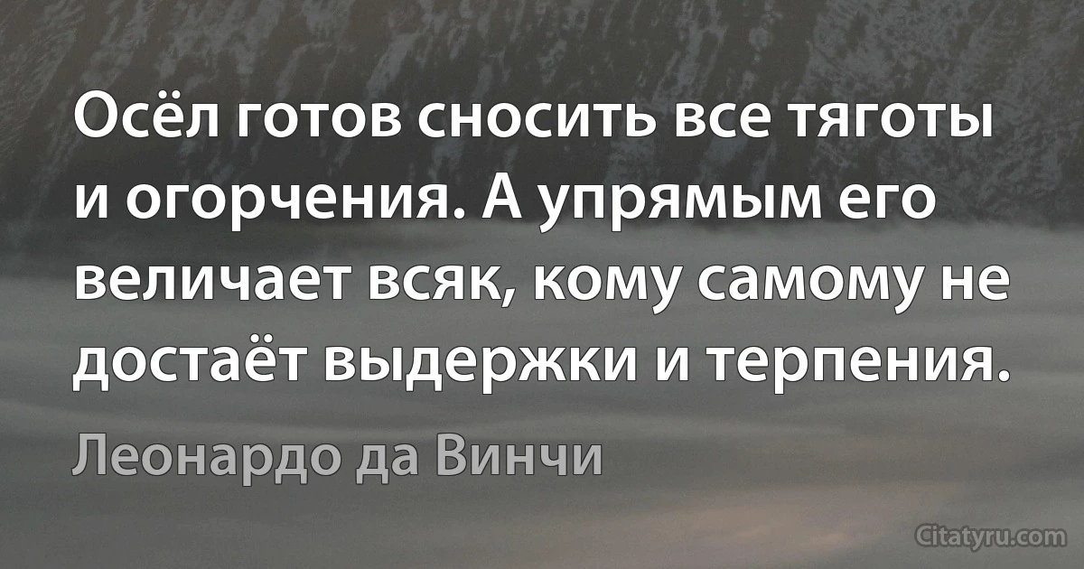 Осёл готов сносить все тяготы и огорчения. А упрямым его величает всяк, кому самому не достаёт выдержки и терпения. (Леонардо да Винчи)