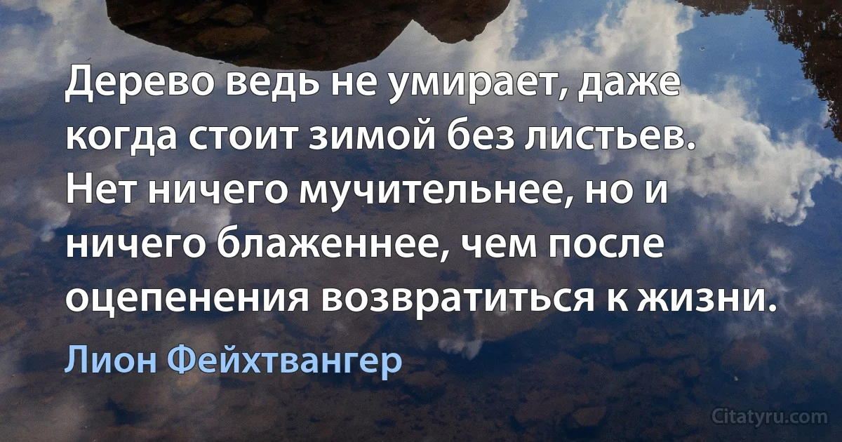 Дерево ведь не умирает, даже когда стоит зимой без листьев. Нет ничего мучительнее, но и ничего блаженнее, чем после оцепенения возвратиться к жизни. (Лион Фейхтвангер)