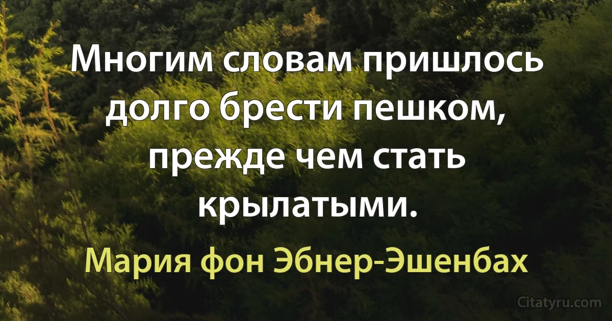 Многим словам пришлось долго брести пешком, прежде чем стать крылатыми. (Мария фон Эбнер-Эшенбах)