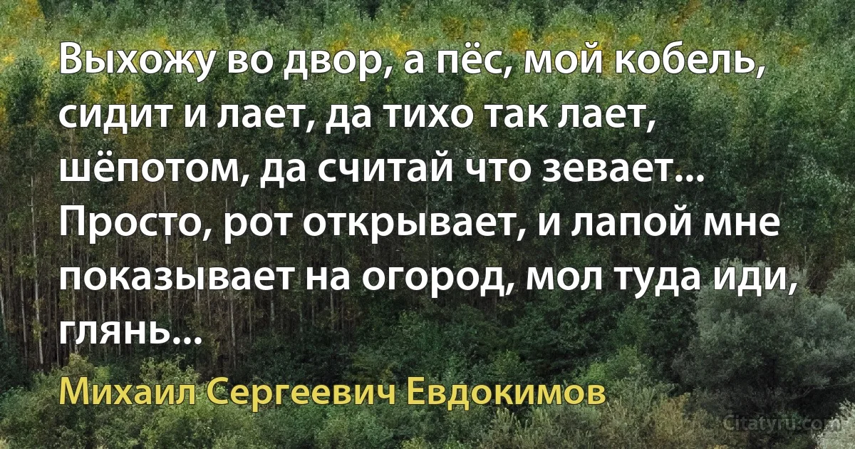 Выхожу во двор, а пёс, мой кобель, сидит и лает, да тихо так лает, шёпотом, да считай что зевает... Просто, рот открывает, и лапой мне показывает на огород, мол туда иди, глянь... (Михаил Сергеевич Евдокимов)