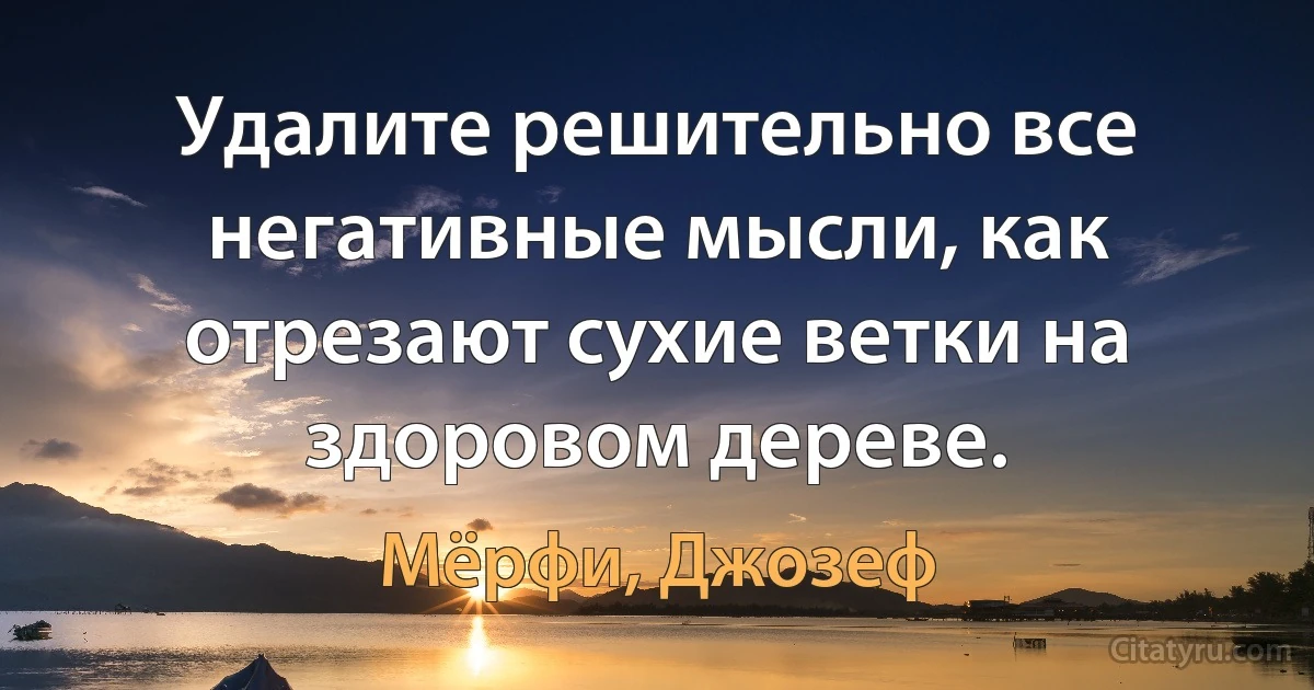 Удалите решительно все негативные мысли, как отрезают сухие ветки на здоровом дереве. (Мёрфи, Джозеф)