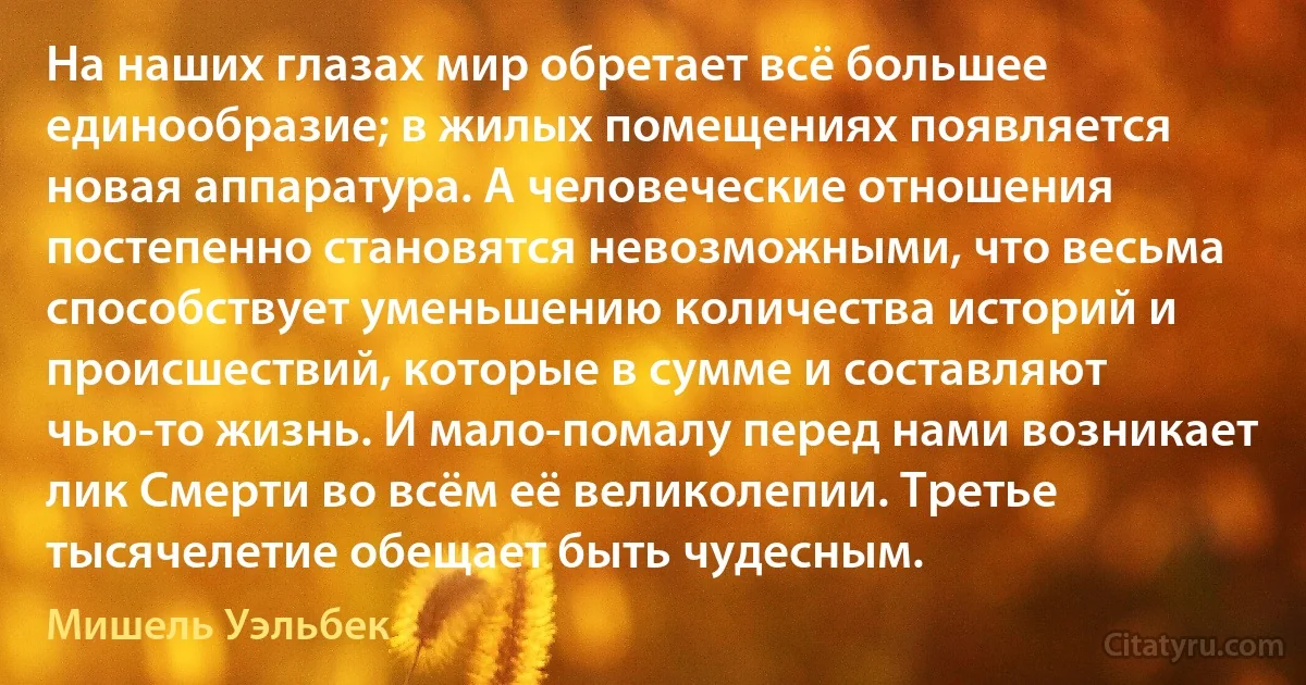 На наших глазах мир обретает всё большее единообразие; в жилых помещениях появляется новая аппаратура. А человеческие отношения постепенно становятся невозможными, что весьма способствует уменьшению количества историй и происшествий, которые в сумме и составляют чью-то жизнь. И мало-помалу перед нами возникает лик Смерти во всём её великолепии. Третье тысячелетие обещает быть чудесным. (Мишель Уэльбек)