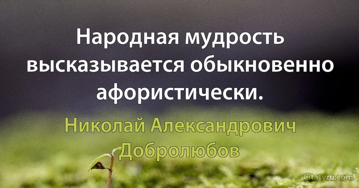 Народная мудрость высказывается обыкновенно афористически. (Николай Александрович Добролюбов)