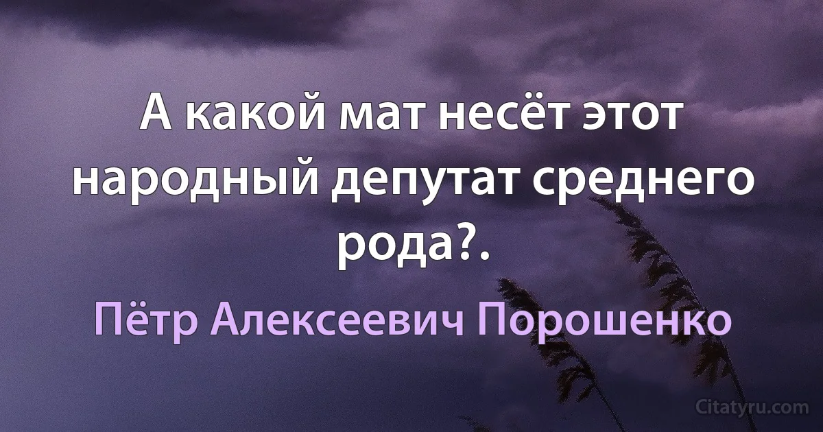 А какой мат несёт этот народный депутат среднего рода?. (Пётр Алексеевич Порошенко)