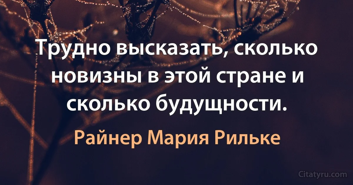 Трудно высказать, сколько новизны в этой стране и сколько будущности. (Райнер Мария Рильке)