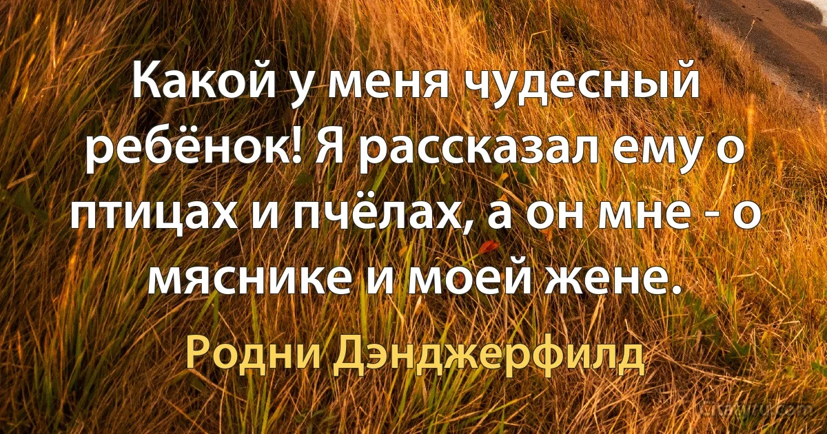 Какой у меня чудесный ребёнок! Я рассказал ему о птицах и пчёлах, а он мне - о мяснике и моей жене. (Родни Дэнджерфилд)