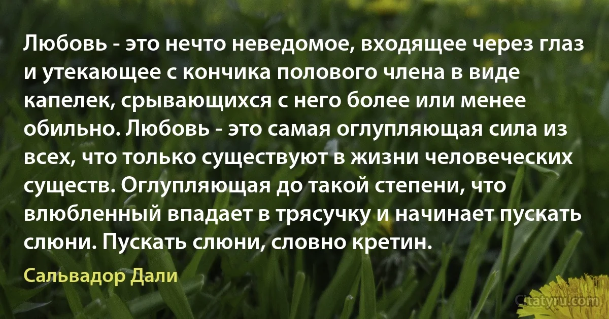 Любовь - это нечто неведомое, входящее через глаз и утекающее с кончика полового члена в виде капелек, срывающихся с него более или менее обильно. Любовь - это самая оглупляющая сила из всех, что только существуют в жизни человеческих существ. Оглупляющая до такой степени, что влюбленный впадает в трясучку и начинает пускать слюни. Пускать слюни, словно кретин. (Сальвадор Дали)