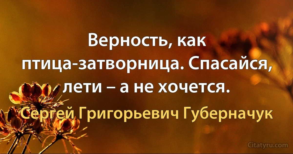 Верность, как птица-затворница. Спасайся, лети – а не хочется. (Сергей Григорьевич Губерначук)