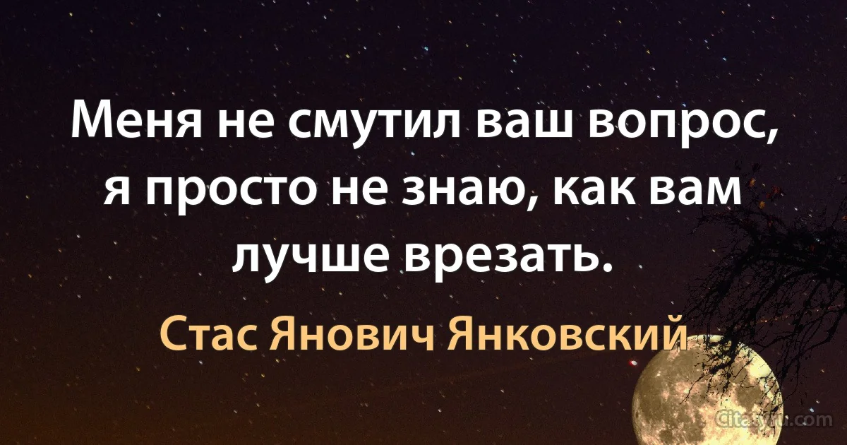 Меня не смутил ваш вопрос, я просто не знаю, как вам лучше врезать. (Стас Янович Янковский)