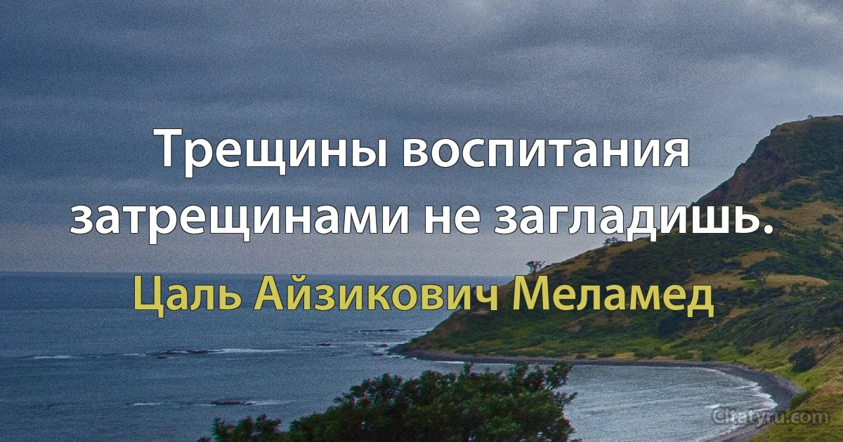 Трещины воспитания затрещинами не загладишь. (Цаль Айзикович Меламед)