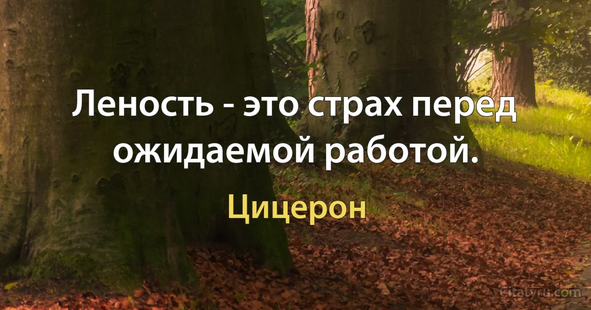 Леность - это страх перед ожидаемой работой. (Цицерон)