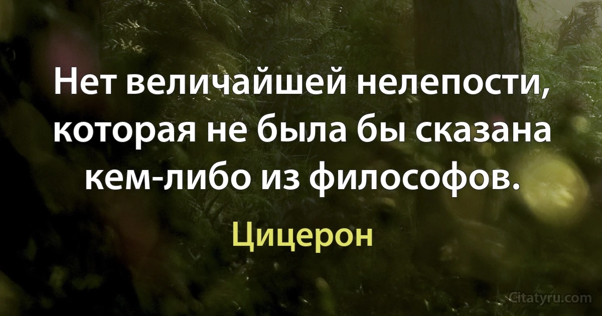 Нет величайшей нелепости, которая не была бы сказана кем-либо из философов. (Цицерон)