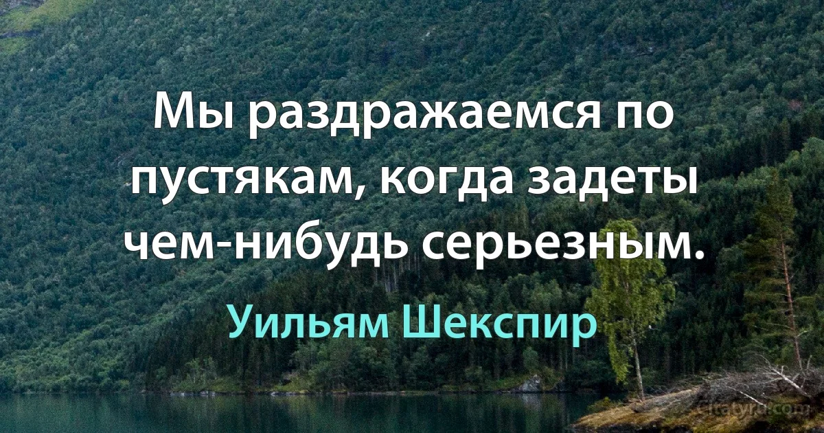 Мы раздражаемся по пустякам, когда задеты чем-нибудь серьезным. (Уильям Шекспир)