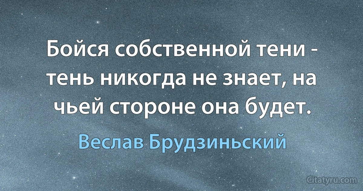 Бойся собственной тени - тень никогда не знает, на чьей стороне она будет. (Веслав Брудзиньский)