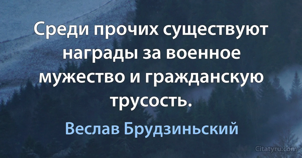 Среди прочих существуют награды за военное мужество и гражданскую трусость. (Веслав Брудзиньский)