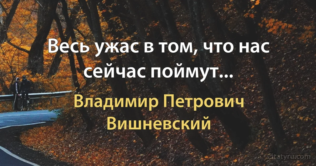 Весь ужас в том, что нас сейчас поймут... (Владимир Петрович Вишневский)