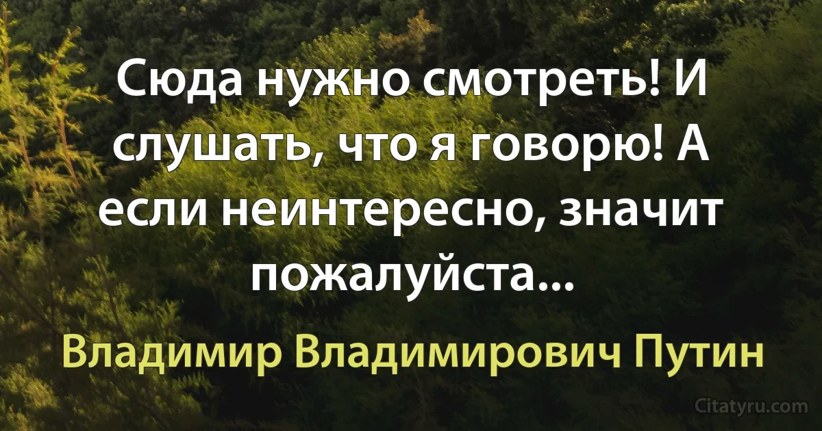 Сюда нужно смотреть! И слушать, что я говорю! А если неинтересно, значит пожалуйста... (Владимир Владимирович Путин)