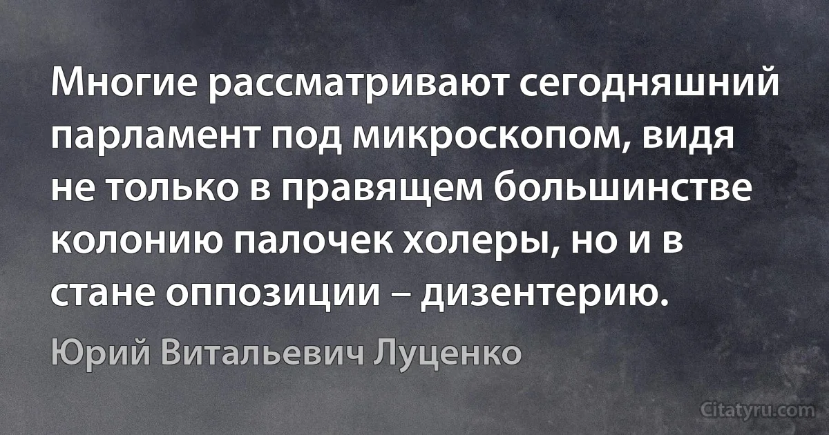 Многие рассматривают сегодняшний парламент под микроскопом, видя не только в правящем большинстве колонию палочек холеры, но и в стане оппозиции – дизентерию. (Юрий Витальевич Луценко)