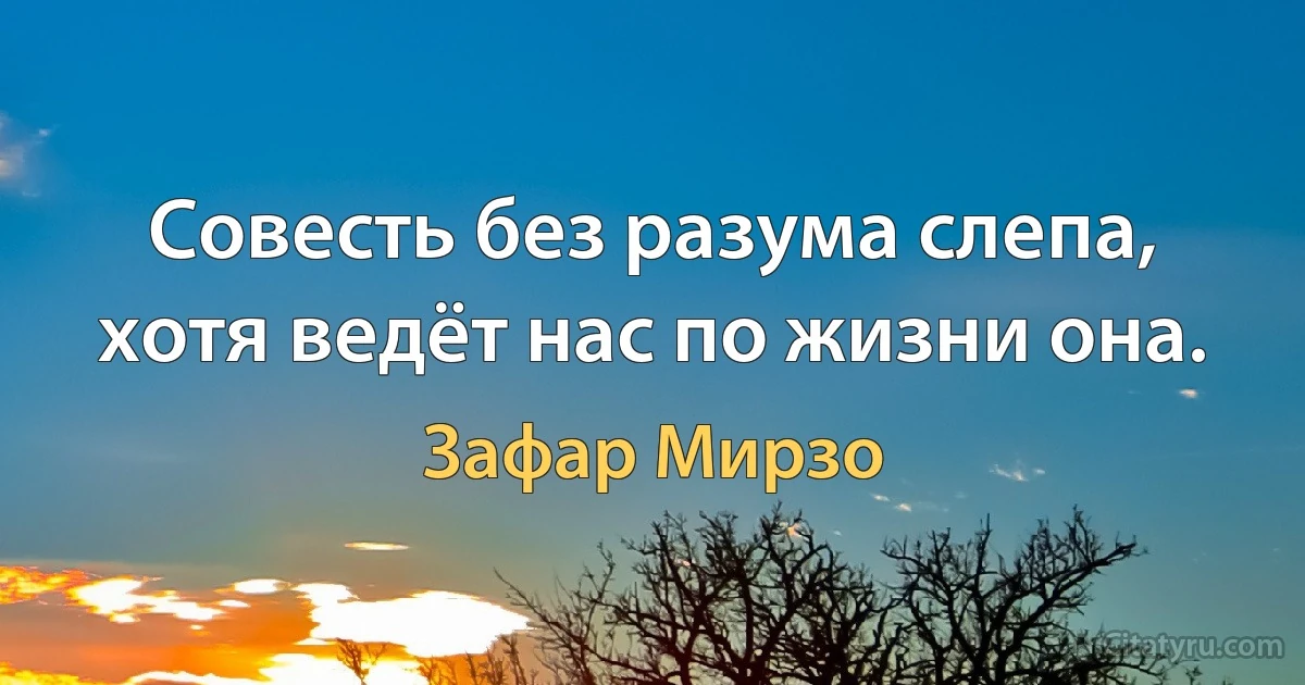 Совесть без разума слепа, хотя ведёт нас по жизни она. (Зафар Мирзо)