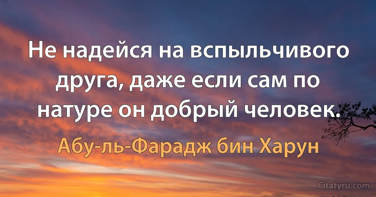 Не надейся на вспыльчивого друга, даже если сам по натуре он добрый человек. (Абу-ль-Фарадж бин Харун)