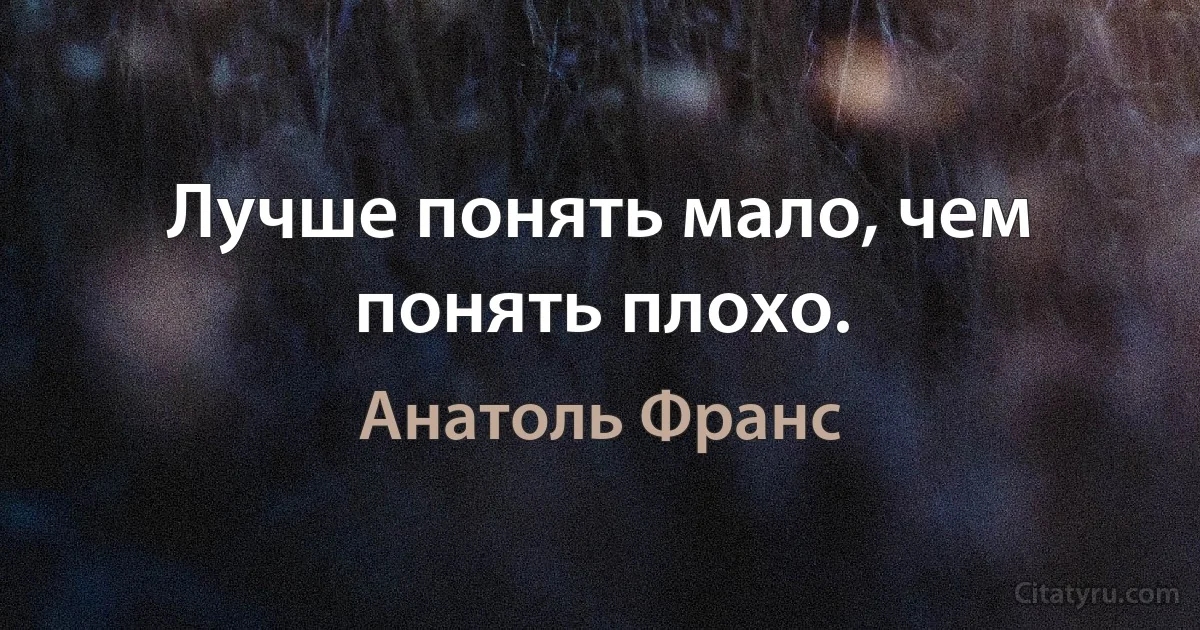 Лучше понять мало, чем понять плохо. (Анатоль Франс)