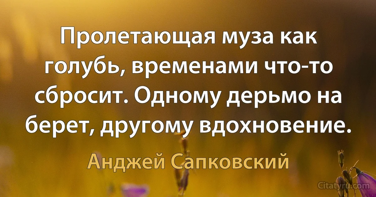 Пролетающая муза как голубь, временами что-то сбросит. Одному дерьмо на берет, другому вдохновение. (Анджей Сапковский)