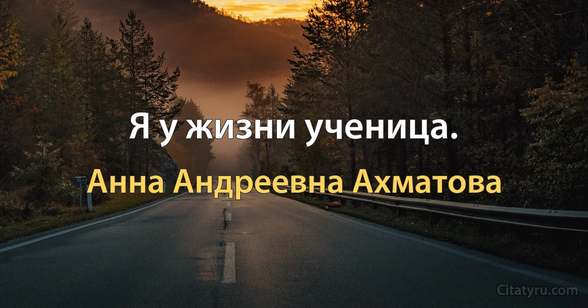 Я у жизни ученица. (Анна Андреевна Ахматова)