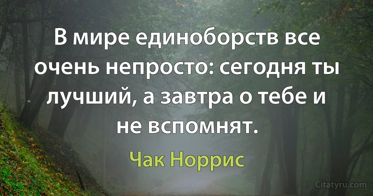 В мире единоборств все очень непросто: сегодня ты лучший, а завтра о тебе и не вспомнят. (Чак Норрис)