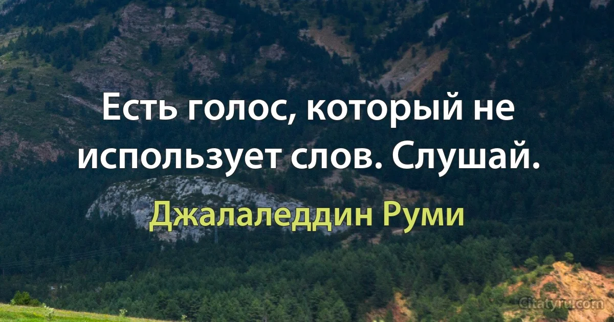 Есть голос, который не использует слов. Слушай. (Джалаледдин Руми)