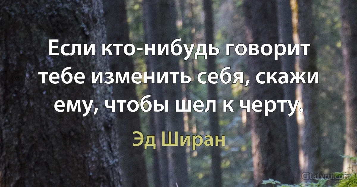 Если кто-нибудь говорит тебе изменить себя, скажи ему, чтобы шел к черту. (Эд Ширан)