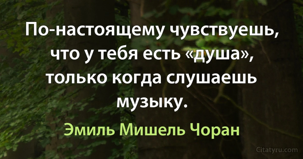 По-настоящему чувствуешь, что у тебя есть «душа», только когда слушаешь музыку. (Эмиль Мишель Чоран)