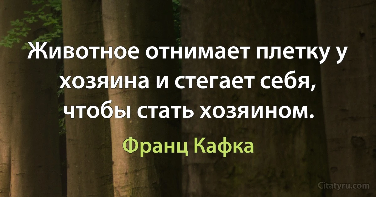 Животное отнимает плетку у хозяина и стегает себя, чтобы стать хозяином. (Франц Кафка)