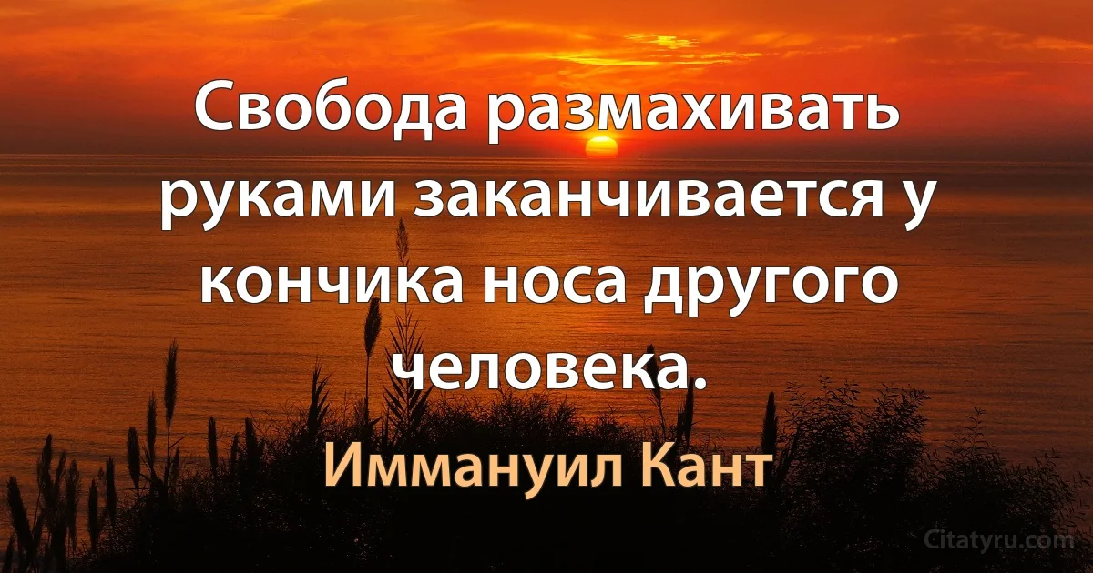 Свобода размахивать руками заканчивается у кончика носа другого человека. (Иммануил Кант)