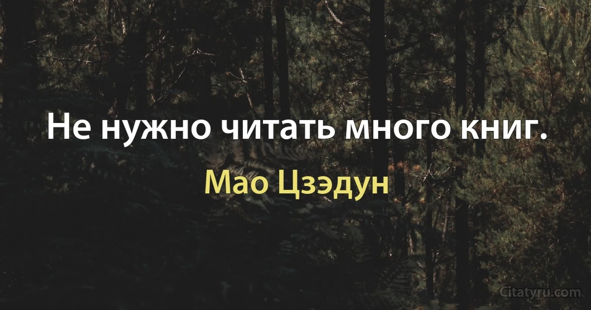 Не нужно читать много книг. (Мао Цзэдун)