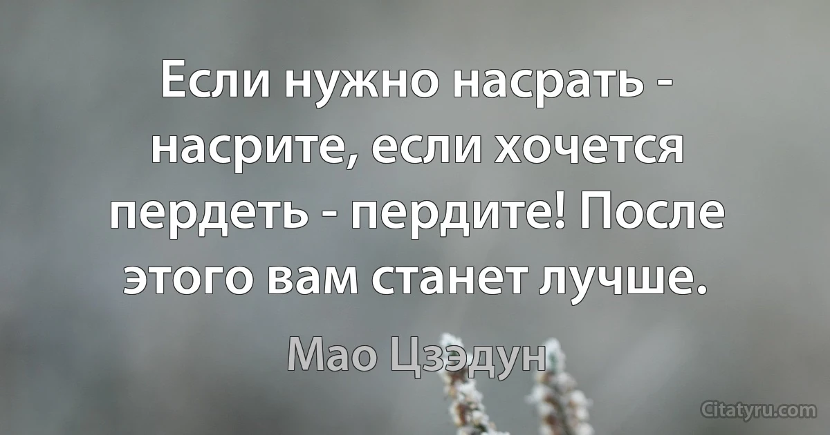 Если нужно насрать - насрите, если хочется пердеть - пердите! После этого вам станет лучше. (Мао Цзэдун)