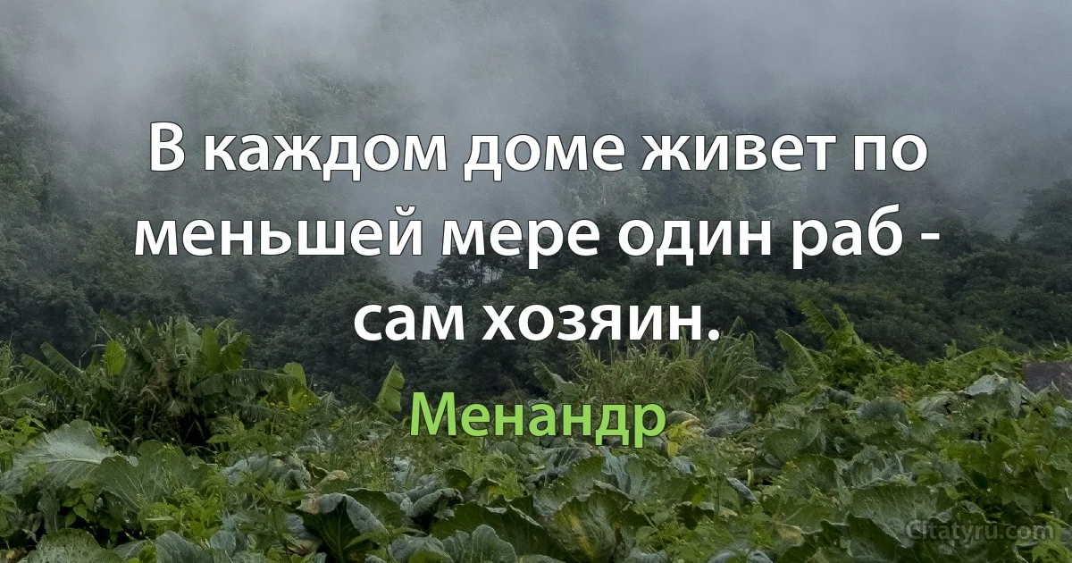 В каждом доме живет по меньшей мере один раб - сам хозяин. (Менандр)