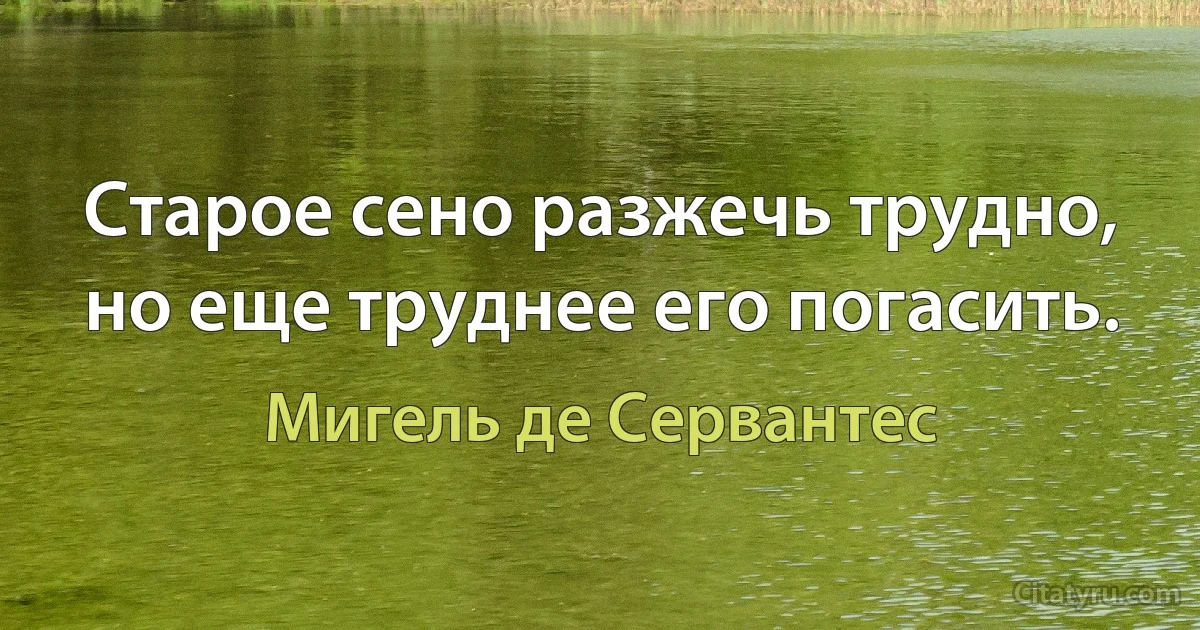 Старое сено разжечь трудно, но еще труднее его погасить. (Мигель де Сервантес)