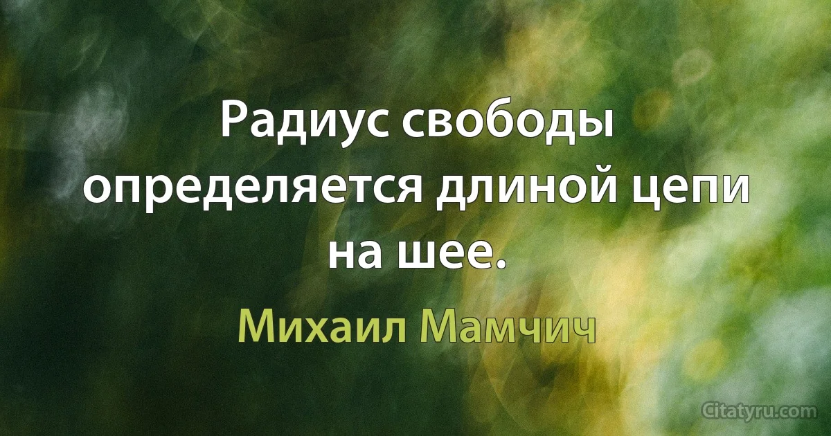 Радиус свободы определяется длиной цепи на шее. (Михаил Мамчич)