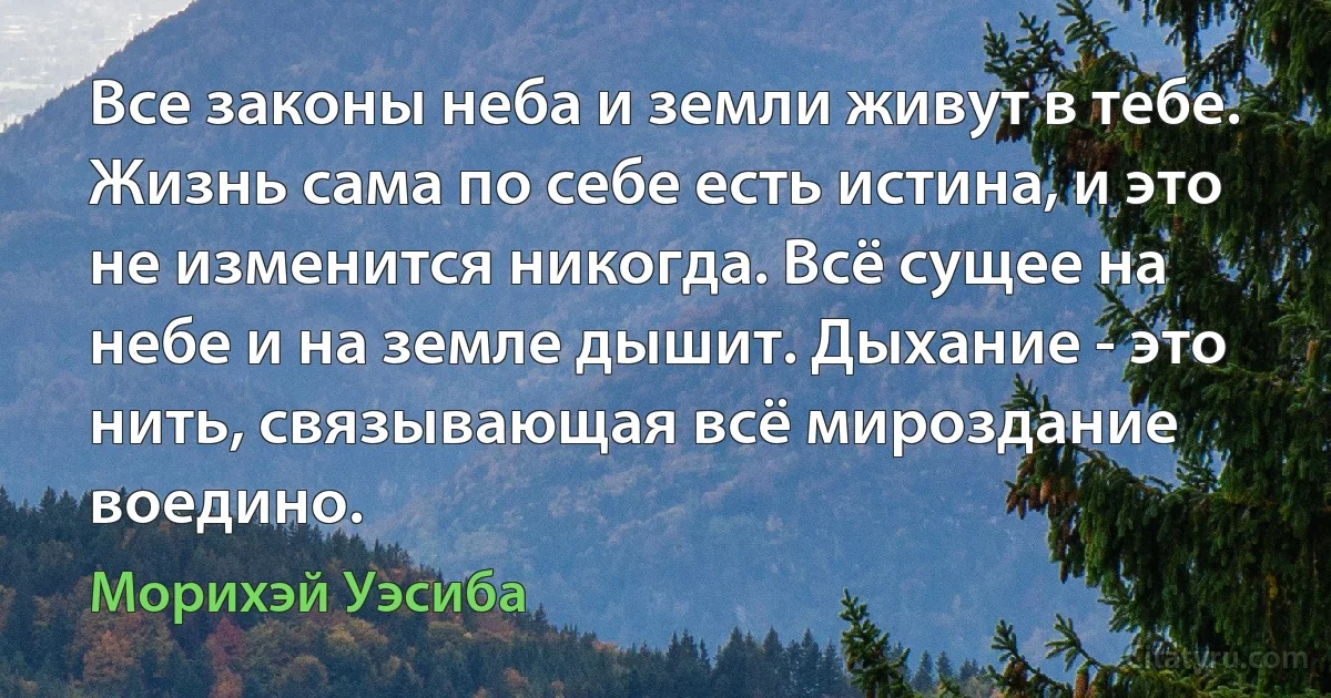 Все законы неба и земли живут в тебе. Жизнь сама по себе есть истина, и это не изменится никогда. Всё сущее на небе и на земле дышит. Дыхание - это нить, связывающая всё мироздание воедино. (Морихэй Уэсиба)