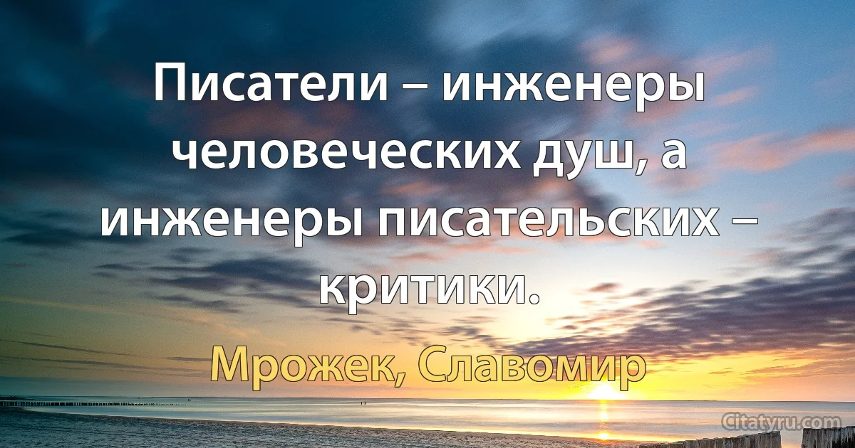 Писатели – инженеры человеческих душ, а инженеры писательских – критики. (Мрожек, Славомир)